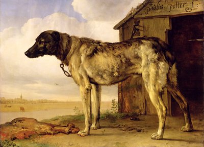 Dog on a Chain by Paulus Potter